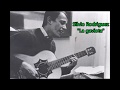 Silvio Rodríguez - La gaviota (LETRA)