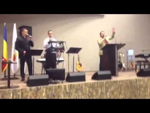 Secvente de la intalnirea de la Beius- maslinul