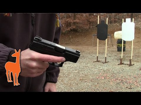 Review: Taurus PT-111 Millennium Pro 9mm - Concealed Carry (Plus) | The Social Regressive