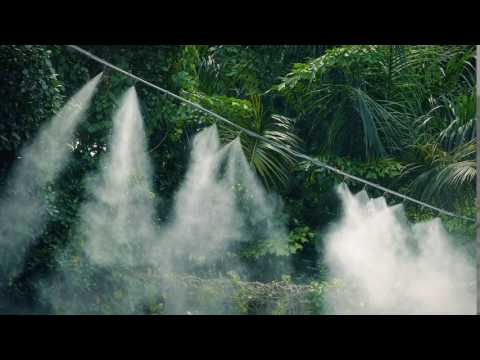 Mist system irrigation