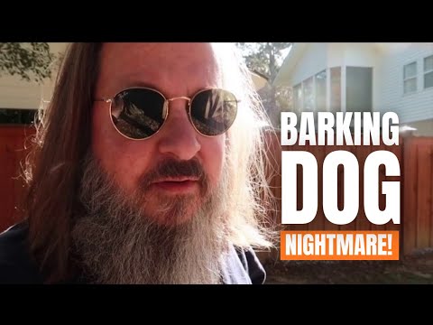 Neighbor’s Dog Won’t Stop Barking — What Can I Do?