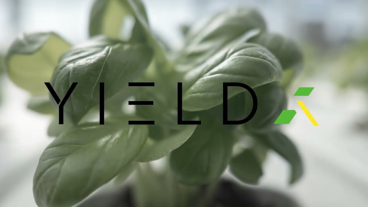 YIELDX -  BUTLER MARKET GARDENS VICTORIA 2025