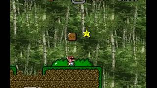 おっさんマリオ　ブラックパックン原生林