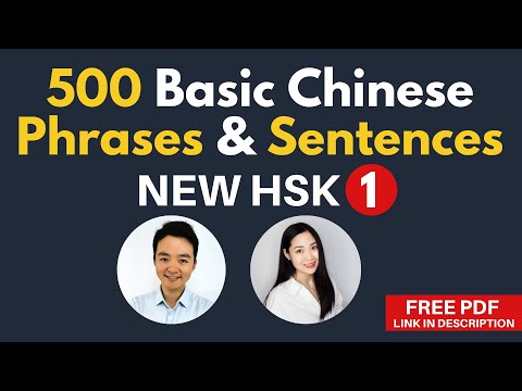 Basic Chinese Words in Phrases & Sentences for Beginners New HSK 1 Vocabulary 500 Words Examples