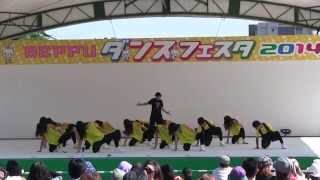 preview picture of video 'Beppuダンスフェスタ2014 ③ sutadio seed'