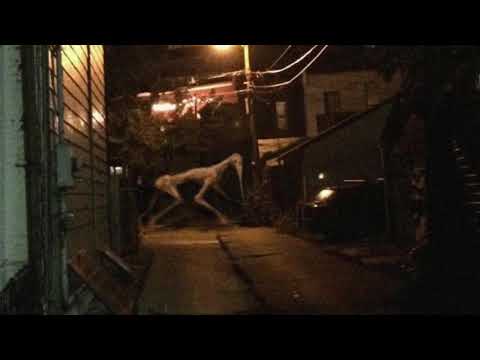 Unnerving images with the Sonic Unleashed werehog battle theme