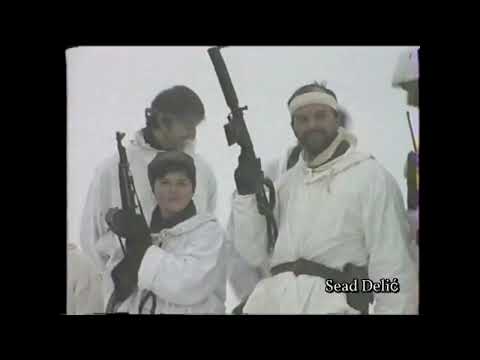 Cvijetaju Zlatni Ljiljani⚜️