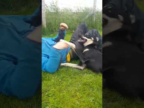 Just playfulness for no one by no one seperated from this #nonduality