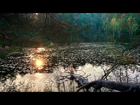 Amanda Jenssen - Mothers Love Conquers All