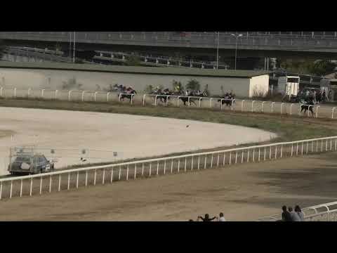 Trka "Carolina" 22.09.2019 Maksimilijan LP - Aleksandar Šašić