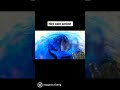 Video Thumbnail for Net cam action #shorts #fishing #catchandrelease #fish