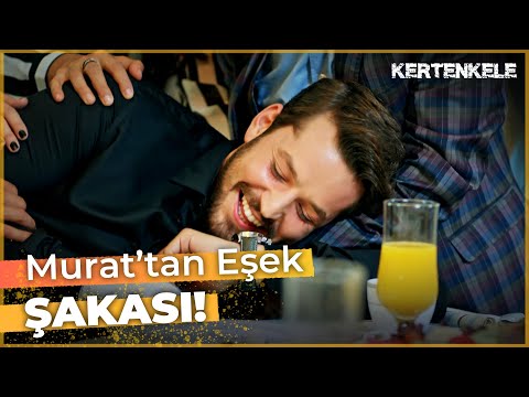 Murat Komiser herkesi korkuttu! | Kertenkele🦎