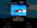 Trust Lost Your Life Trust Blue Stunts Shortsfeed Wildanimals Animalslove