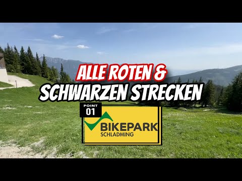 Bikepark Schladming Planei Alle 🔴 & ⚫️Strecken im Podcast Style mit @Nakidaii