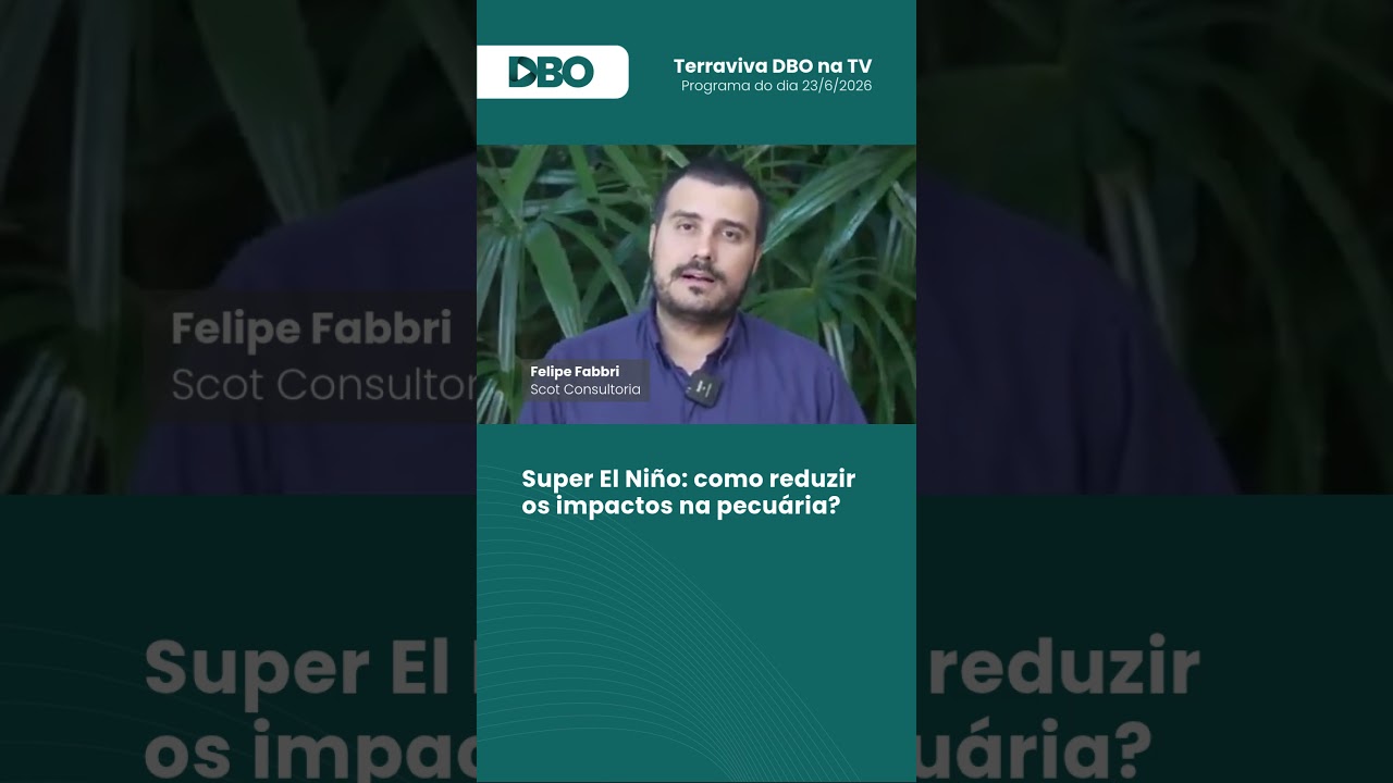 Super El Niño: como reduzir os impactos na pecuária? #pecuária #elniño