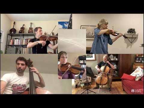 Learn about the string family