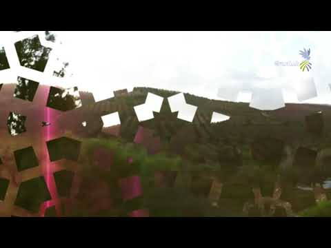 Ekremê Nazê - Authentic Kurdish Instrumental Music