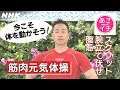 [あさイチ] 筋肉元気体操～自宅でできる”やさしい”筋トレ！～ | NHK