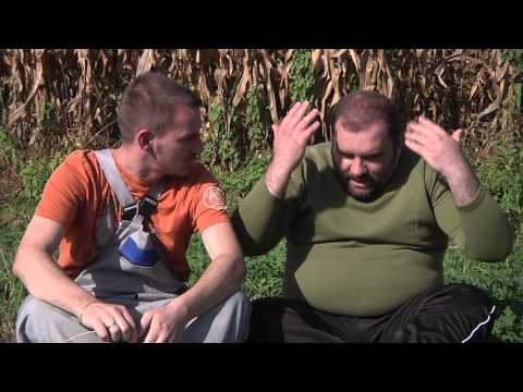 FËMIJA I TRETË GRATIS - Humor nga emisioni 3T