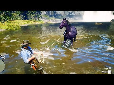 Arthur trying to catch a best horse - Red Dead Redemption 2 Gameplay