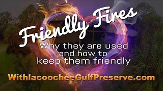 Withlacoochee Gulf Preserve Friendly Fire Controlled Burn