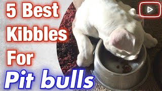 5 best kibbles for pit bulls that are affordable!
