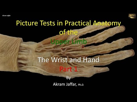 Test de imágenes - anatomía de la mano y la muñeca - parte 1