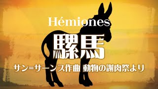 Download lagu サン=サーンス 組曲「動物の謝肉祭」より 《騾馬》 mp3