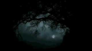 Jody Carroll McMurrian - Midnight Son