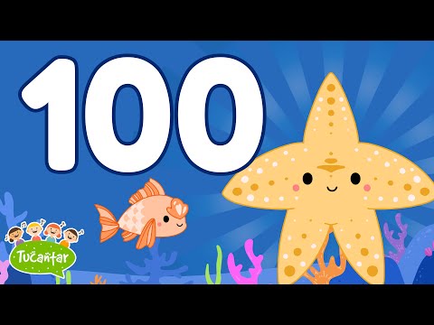 Conta Até 100 🔢 | Tucantar - Música Infantil