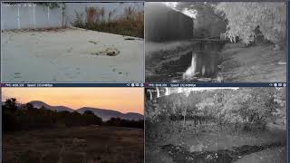 Thumbnail del capítulo