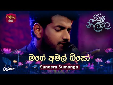 Mage Amal Biso (Cover Song) | මගේ අමල් බිසෝ | Suneera Sumanga | Piyum Neela Vila | Roo Tunes