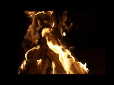 automobile yayaya 2017 razmen