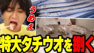 - 特大タチウオを捌いて食べて爆笑するけんき【太刀魚/イナダけんき切り抜き】