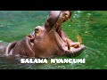 SALAWA NYANGUMI UJUMBE WA WADANGAJI