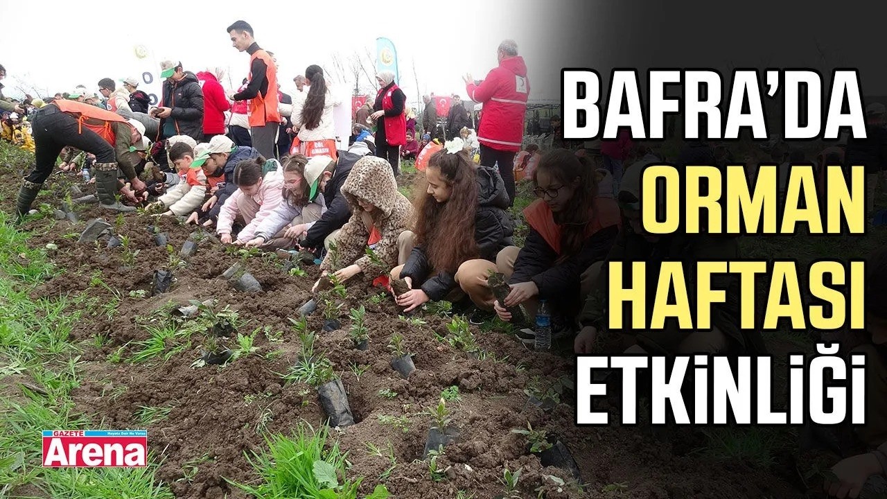 Bafra’da orman haftası etkinliği