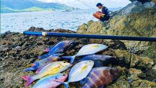 Download lagu YANG KALIAN CARI !! MANCING TEGEK DI SPOT GACOR PINGGIR LAUT mp3