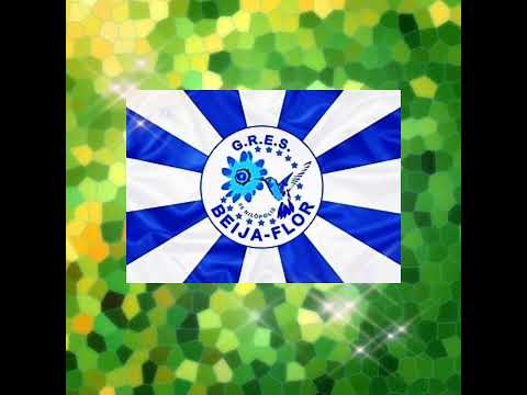 Beija flor de Nilópolis 1999 🟦⬜