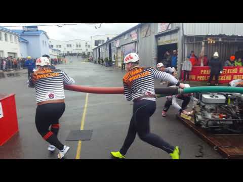 DHZ Pavlice B   Lenin 2017