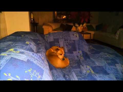 Video made with Bluboo Xtouch