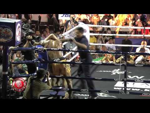 Kings Cup Final Challenge 2010 - Alex Vogel Germany