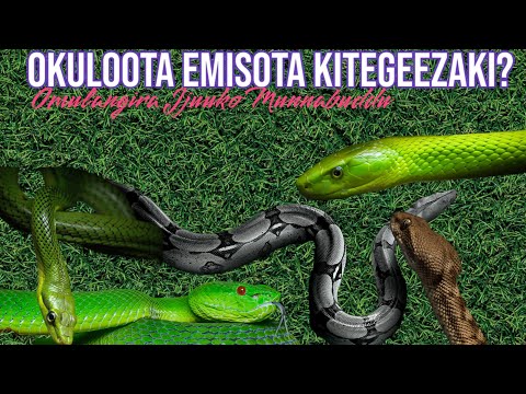 Okuloota emisota kitegeezaki? - Omulangira Jjuuko Munabuddu