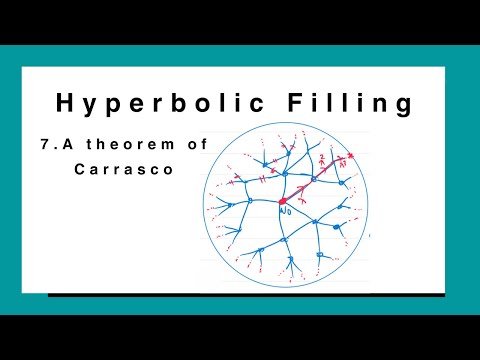 Hyperbolic Filling: Last Lecture (Carrasco Piaggio's theorem)