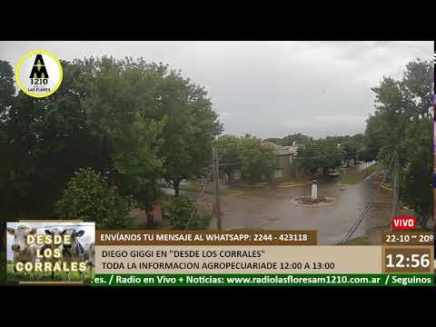 Radio  Las Flores - AM 1210 - FM Cóndor 89.7 - EN VIVO -