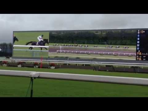 第74回菊花賞 2013 Ｇ１　エピファネイアがＧ１初制覇