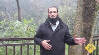 صورة الحلقة الحادية عشر من برنامج " تعلمت من يوسف عليه السلام " للمهندس علاء حامد " أخلاق العظماء "