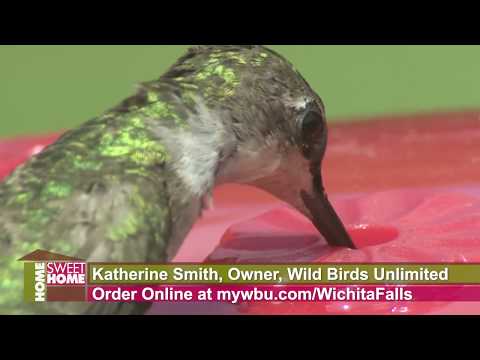 Wild Birds Unlimited Hummingbird Feeders, inside Smiths Gardentown.