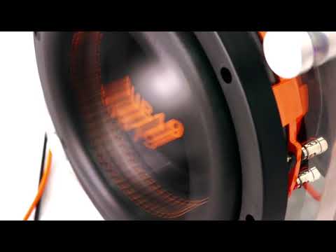 (33-49Hz) Dopebwoy ft. 3robi, Boef & SRNO - Champagne Papi (Rebassed by XCLSV)