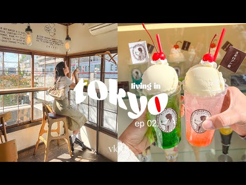 tokyo vlog 🇯🇵 | good coffee & pudding, trip to nikko, kawaii treats in asakusa, autumn leaves