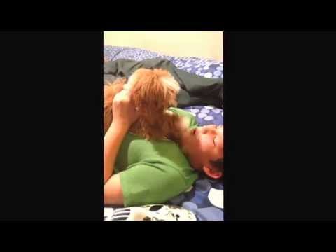 My dog is so cool!!!